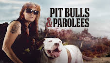 Pit Bulls & Parolees (S9 E17)