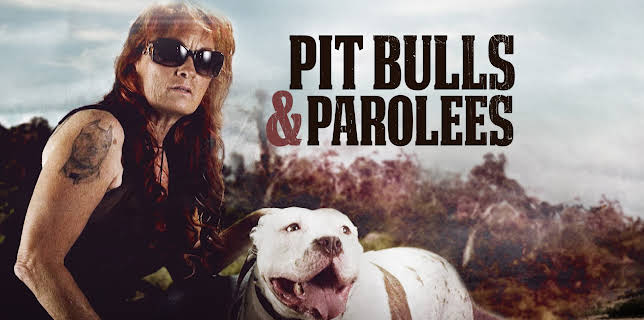 15:00: Pit Bulls & Parolees (S9 E14) (S9) | Animal Planet | 11/10 2025
