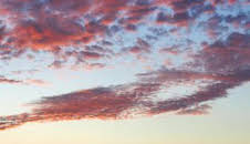 Los archivos desconocidos de Egipto: Fama y fortuna