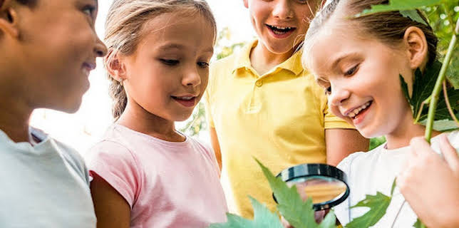 05:30: Planet Schule | SWR Fernsehen RP | 12/9 2025