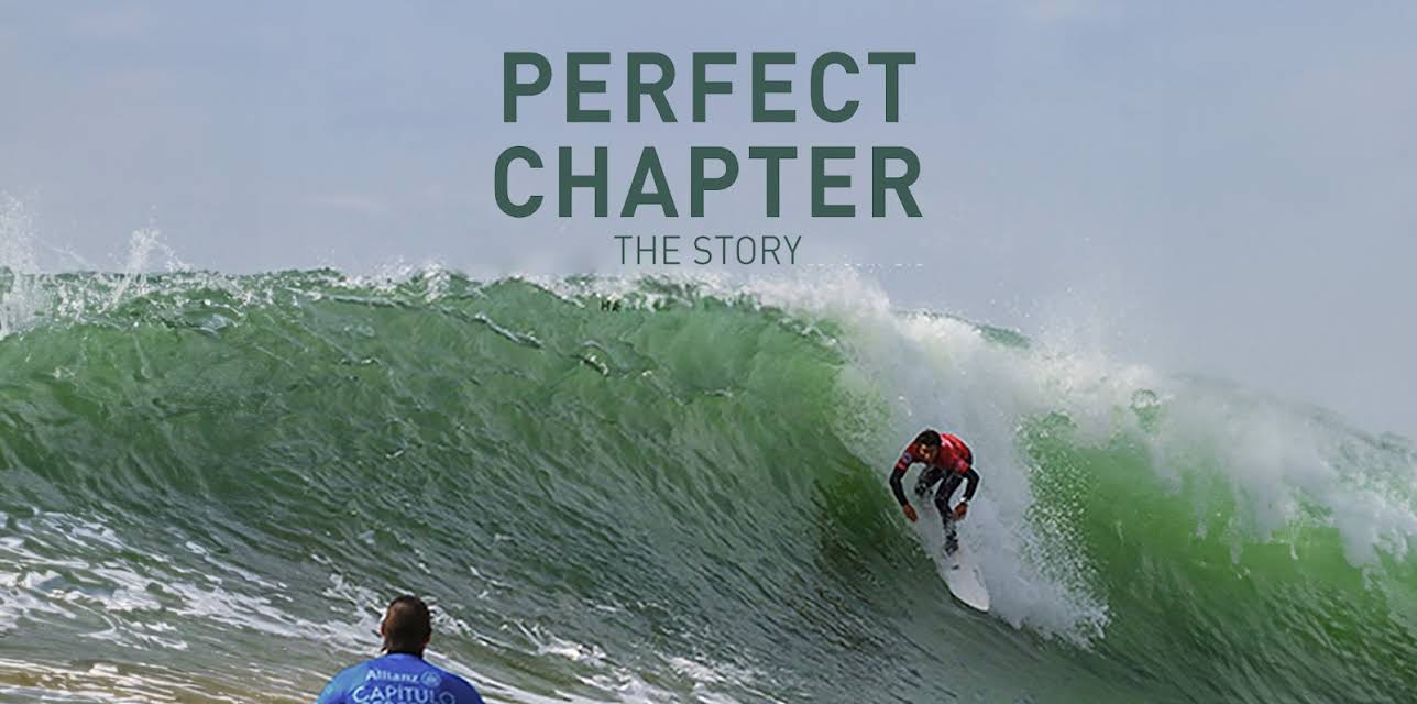 Perfect Chapter, The Story (2014)