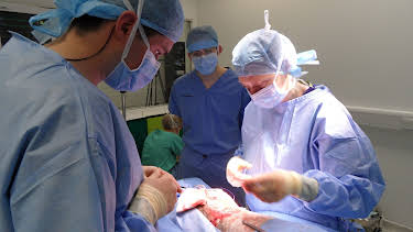 01:00: Animal ER (S1 E9) (S1) | Animal Planet | 1/9 2026