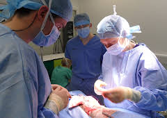 Animal ER