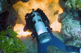 Shark Dive TV: Odd Behavior of Hammerhead Sharks