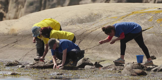 03:30: Sommerhytta | TV 2 Livsstil | 11/9 2025