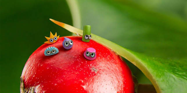 5:30 PM: Tiny Wonders (S5) | Cbeebies | 12/5 2025