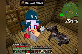 Minecraft: Fairy Horse Quest: My First Zorse!