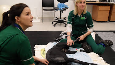 03:45: Animal ER (S1 E2) (S1) | Animal Planet | 4/10 2026