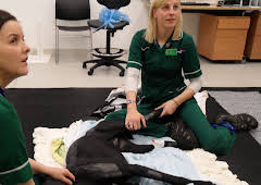 Animal ER