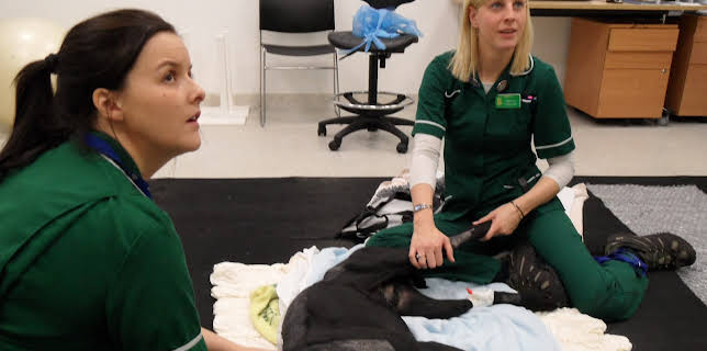 00:00: Animal ER (S1 E2) (S1) | Animal Planet | 11/17 2025