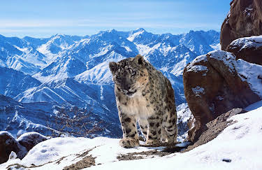 06:45: Eine Erde - viele Welten | ZDFneo | 4/19 2026