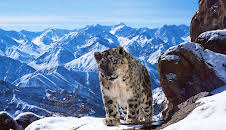 Eine Erde - viele Welten