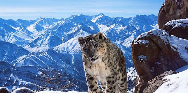 06:30: Eine Erde - viele Welten | ZDFneo | 3/7 2026