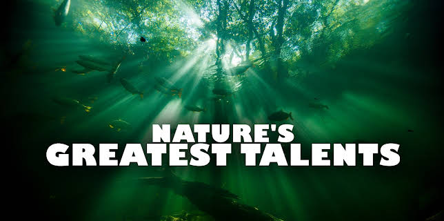 Nature's Greatest Talents, Season 1