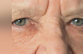 Life 2.0: Mastering Memory