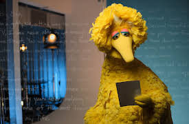 Dear...: Big Bird