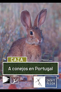 02:55: A conejos en Portugal | Caza y Pesca | 8/28 2026