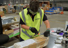 Border Patrol New Zealand