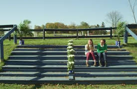 Ponysitters Club: Episode 8