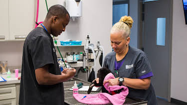 09:25: The Vet Life (S2 E2) (S2) | Animal Planet | 4/4 2026