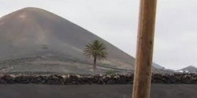 13:45: Beber para (no) olvidar | TV Canaria | 1/10 2026