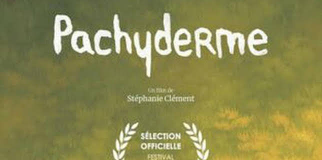 15:49: Paquidermo | TV5MONDE | 1/28 2026