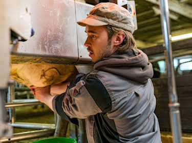 19:15: Die Fallers - Die SWR Schwarzwaldserie | SWR Fernsehen RP | 7/5 2026