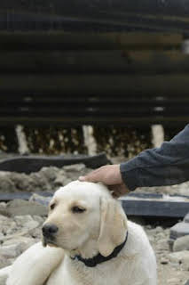 12:00: La fiebre del oro: Aviones, grúas y concesiones vírgenes | Discovery | 4/9 2026