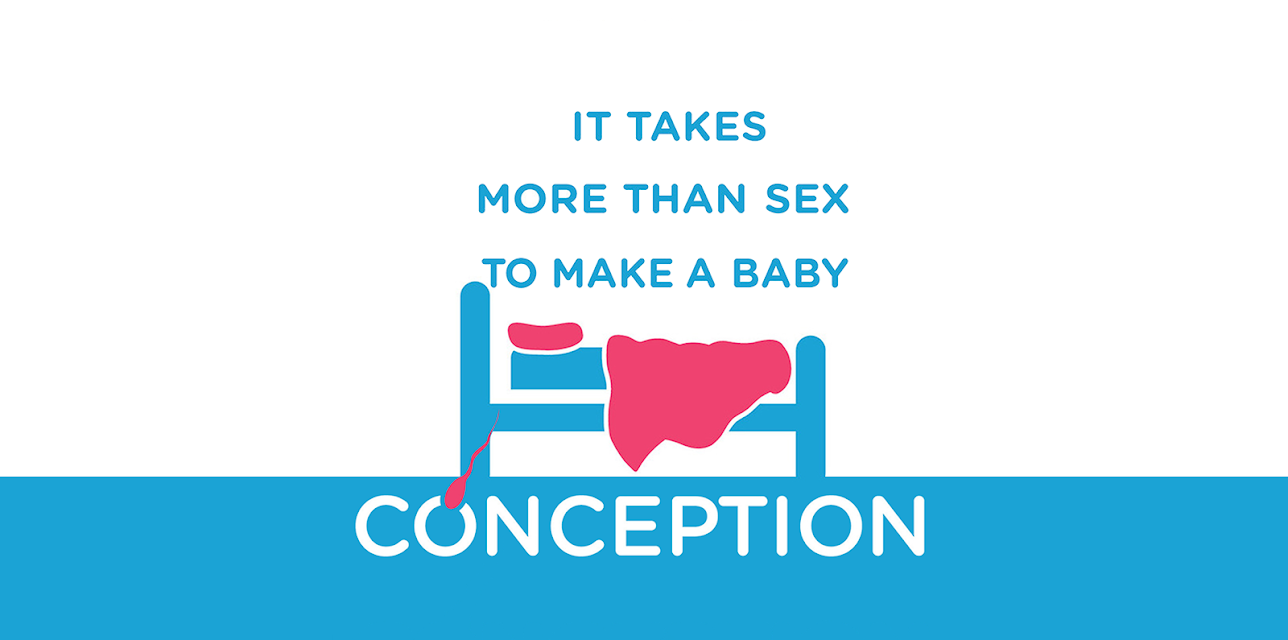 Conception (2012)