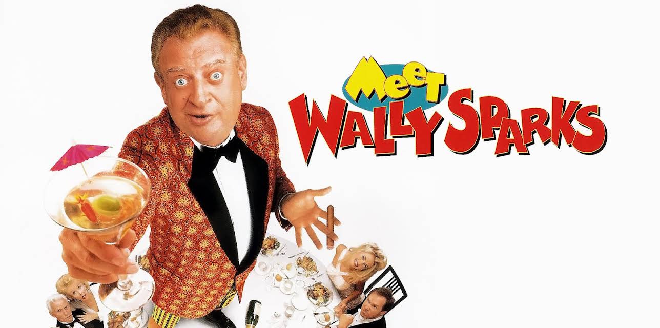 Meet Wally Sparks (1997)