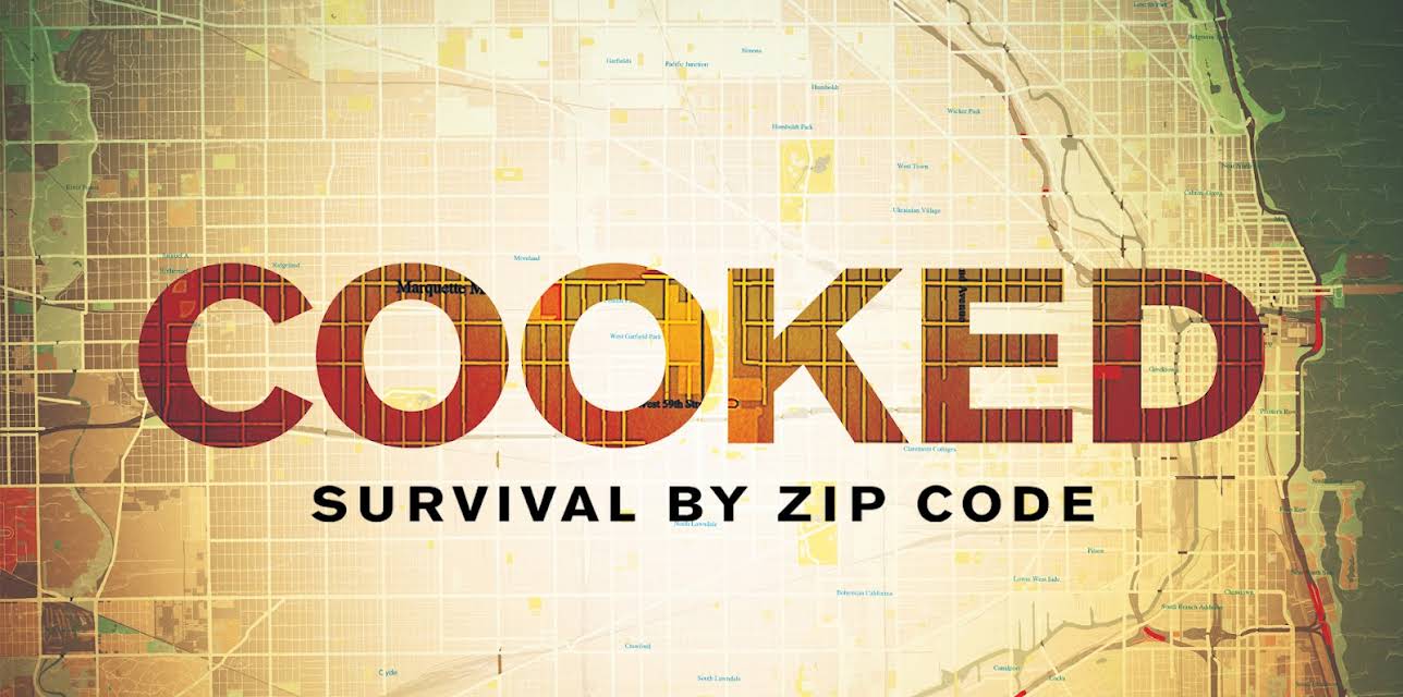 Cooked: Survival by Zip Code (2019)