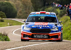 Rally-EM: Polen