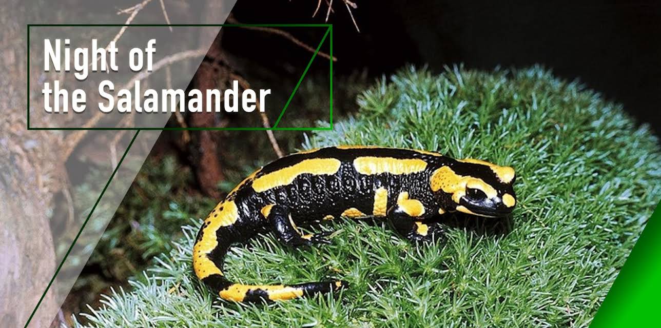 Night of the Salamander (2001)