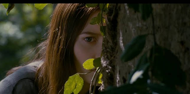 Stoker (2013)