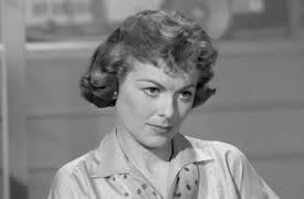 Perry Mason Season 1: The Case of the Sun Bather's Diary