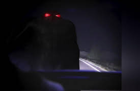 Monsters and Mysteries in America Season 1: Appalachia