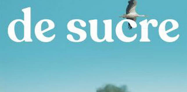 02:00: De sucre | À Punt | 3/15 2026