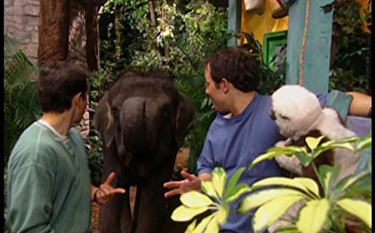 Martin Kratt