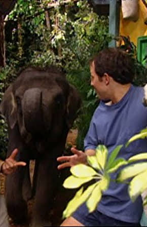Martin Kratt as 