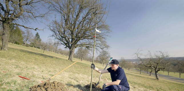 18:15: Handwerkskunst | SWR Fernsehen BW | 3/15 2026