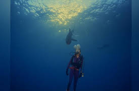 Journey with Dylan Dreyer S1: Ocean Oasis