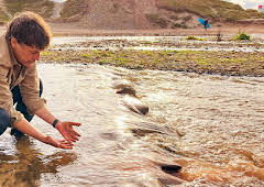 Cornwall's Red River