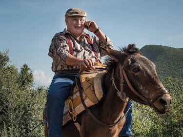 13:15: Krügers Odyssee | SWR Fernsehen RP | 3/29 2026