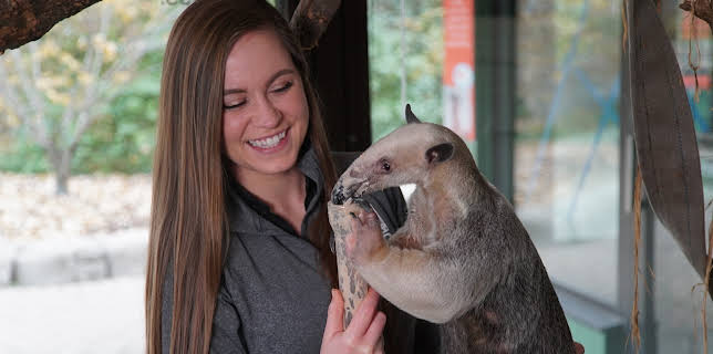 19:00: Dyrenes utrolige evner (S1 E13) (S1) | Animal Planet | 3/7 2026