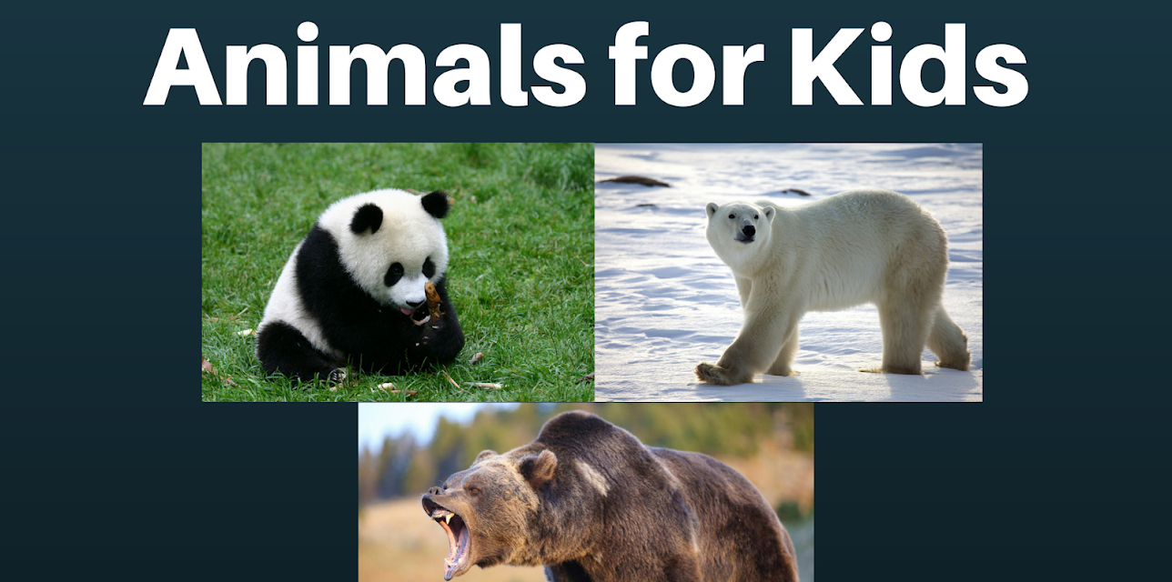 Animals for Kids