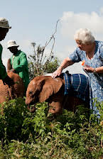 Daphne Sheldrick as 