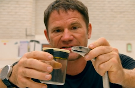 Fierce: South Africa