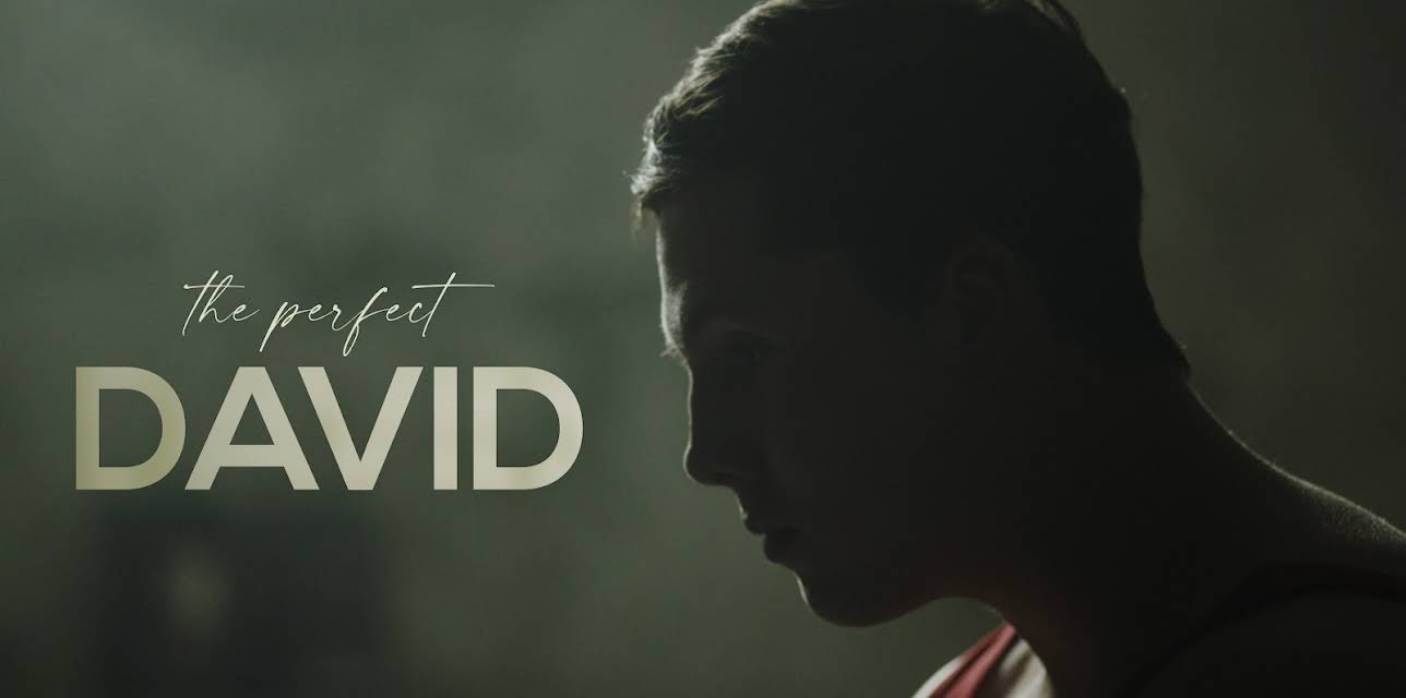 The Perfect David (2021)