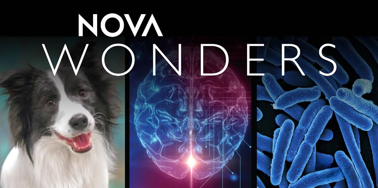 NOVA Wonders Season 1