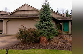 House Hunters: Volume 3: Strong Views in Strongsville